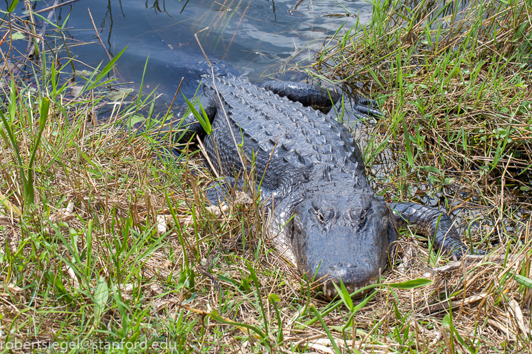 florida 2018